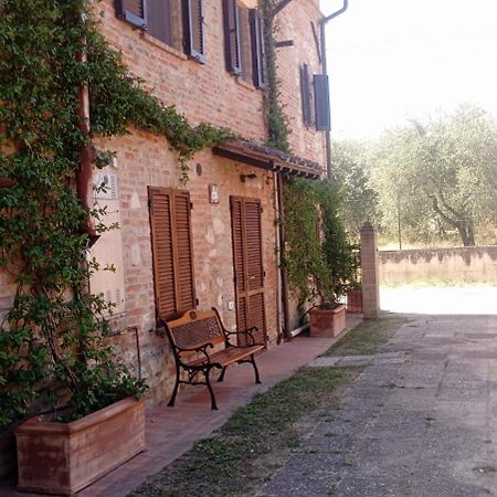 Agriturismo La Pergola Castiglione del Lago Dış mekan fotoğraf