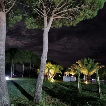 Agriturismo La Pergola Castiglione del Lago Dış mekan fotoğraf