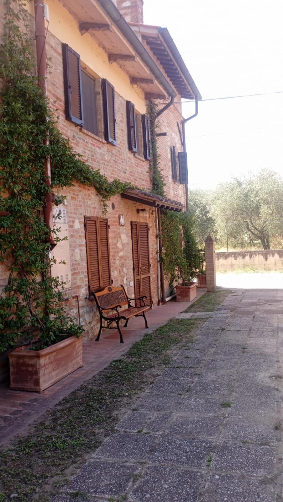Agriturismo La Pergola Castiglione del Lago Dış mekan fotoğraf