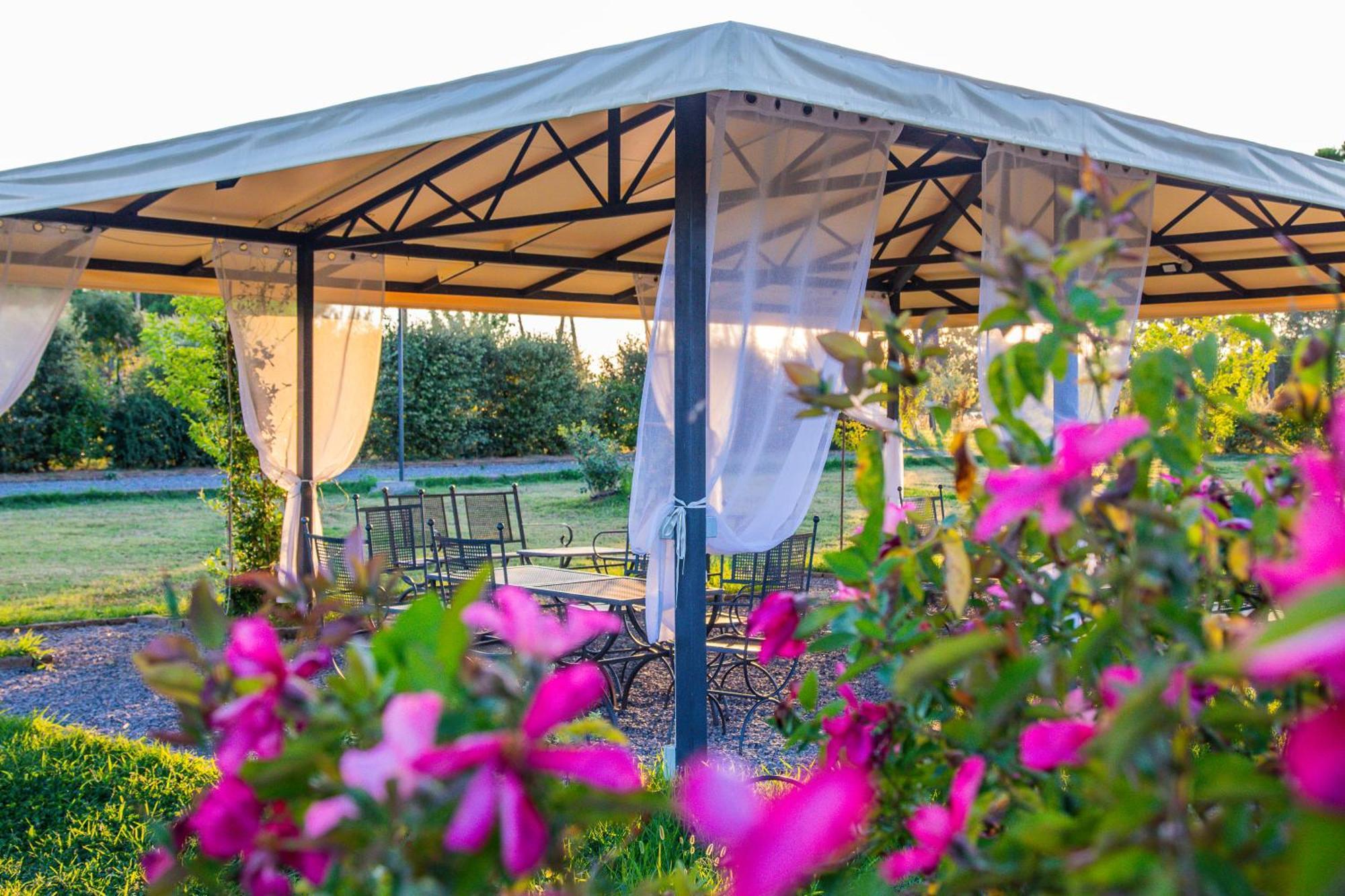 Agriturismo La Pergola Castiglione del Lago Dış mekan fotoğraf