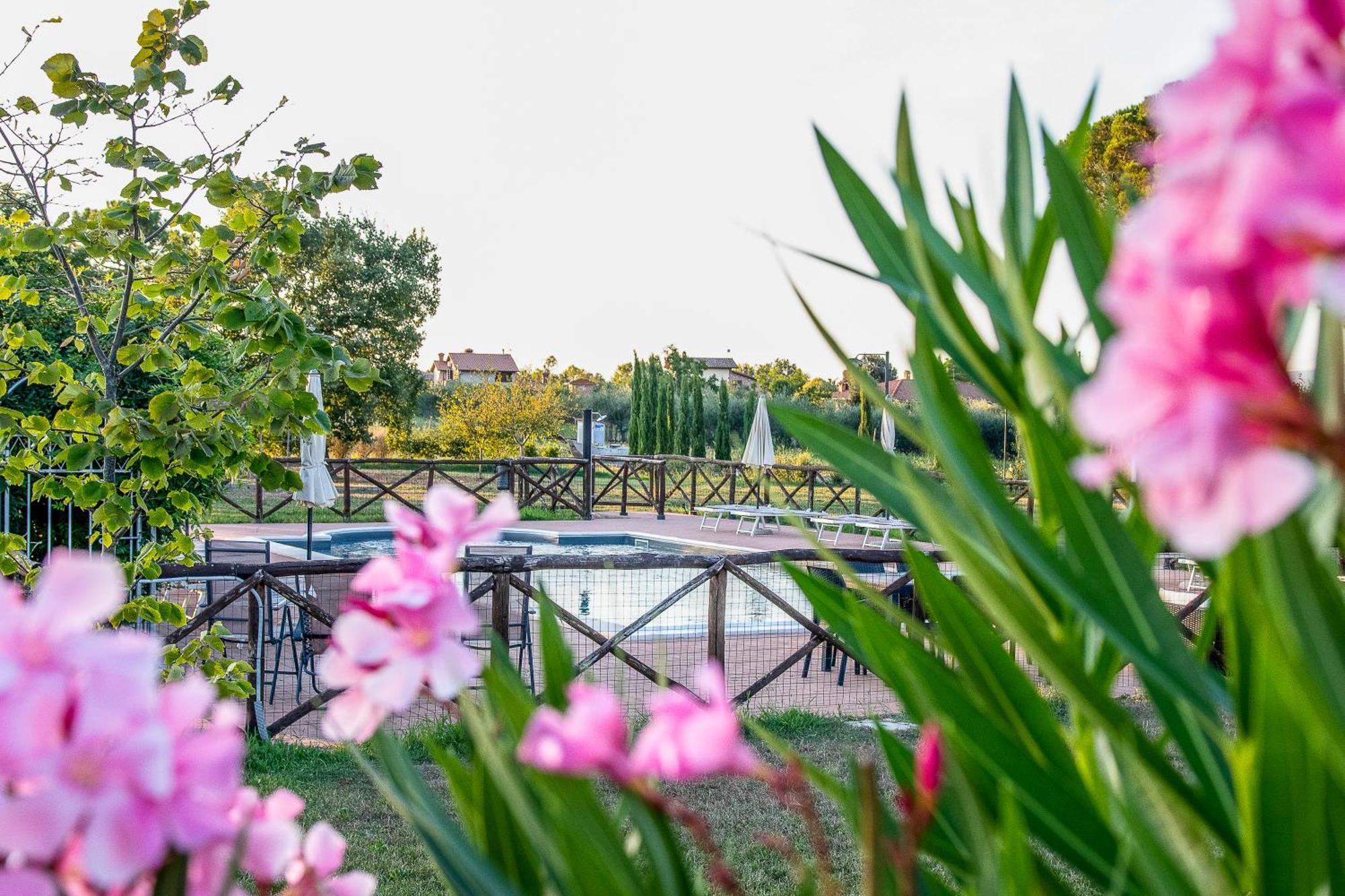 Agriturismo La Pergola Castiglione del Lago Dış mekan fotoğraf
